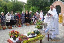 фото У Іллінській православній громаді розпочалась благодійна акція