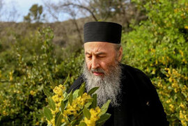 фото Православна Сумщина вітає Блаженнішого Митрополита Онуфрія з 55-річчям чернечого постригу