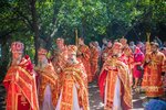 IMG_6334