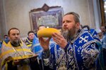IMG_0294