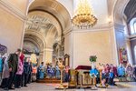 IMG_8222