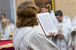 IMG_8520