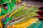 IMG_8685
