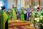 IMG_8870