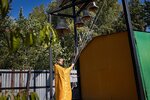 IMG_10037