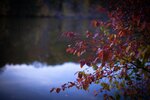 IMG-77e3eaff5f070b316a31d6de0958e239-V