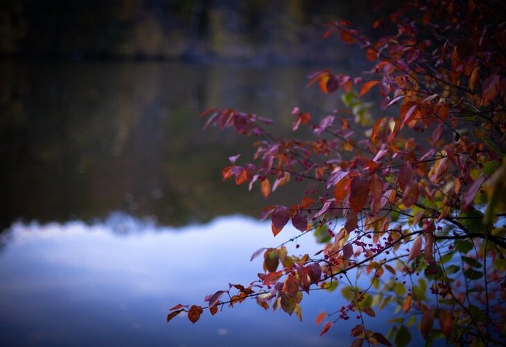 IMG-77e3eaff5f070b316a31d6de0958e239-V