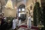 IMG_0518
