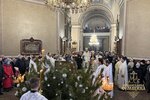 IMG_1007