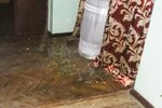 IMG_20220308_090459