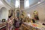 IMG_4651