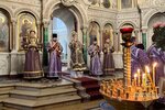 IMG_5256