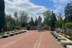 IMG_8033