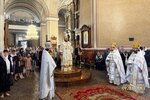 IMG_8604