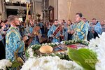IMG_3221
