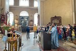 IMG_3781