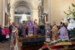 IMG_5355