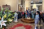 IMG_5741