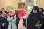 IMG_8734-