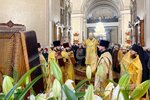 IMG_9008