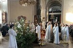 IMG_0477