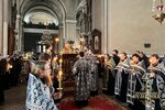 IMG_3041