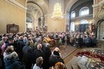 IMG_3884