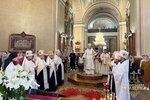IMG_5231