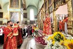 IMG_8808