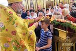 IMG_0642