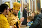 IMG_7445