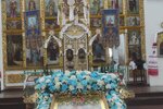 IMG_20231120_113919