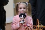 IMG-0008
