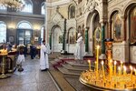 IMG_6617
