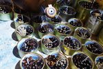 IMG_20240215_211813