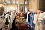IMG_7527