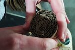 IMG_20240401_100233