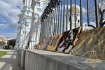 IMG_8381