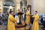 IMG_0517