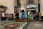 IMG_1246