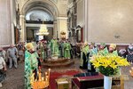 IMG_1392
