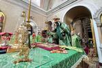 IMG_1406