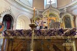 IMG_3049