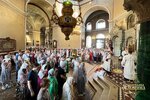 IMG_3366