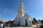 IMG_5204