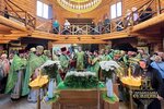 IMG_5520