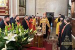 IMG_6081