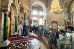 IMG_6519