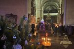 IMG_8203