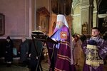 IMG_8206